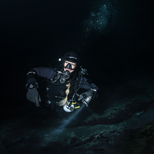 Night Dive (inc Torch & Batteries)