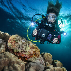 Basic Wreck Diving