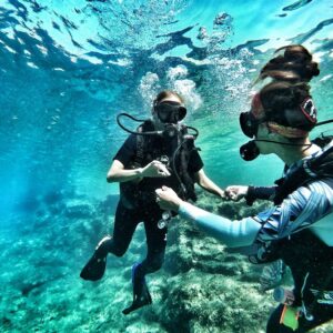 Ultimate Basic Diver